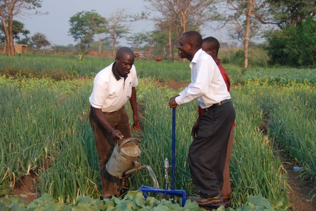 Agriculture Zambian High Commission